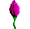 Flower 002